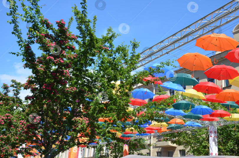 Скачать Санкт-Петербург, Россия – 06.17.2017: Разноцветные зонтики над городской улицей: инсталляция фотосток Ozero