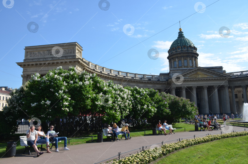 Скачать Россия, Санкт-Петербург – 2017.17.06: Казанский кафедральный собор в солнечный летний день фотосток Ozero