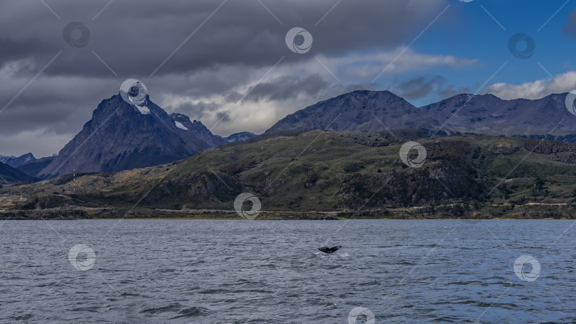 Скачать Живописный горный хребет Анд фотосток Ozero