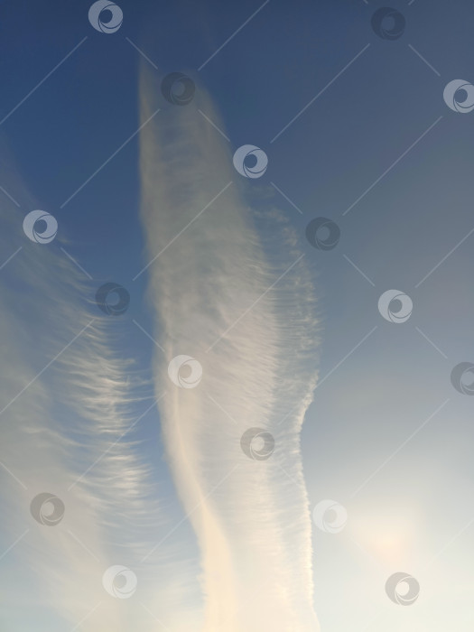 Скачать Необыкновенные, живописные перистые облака на голубом небе. Вертикальный фотофонд, обои для рабочего стола, открытка. Материал для замены неба фотосток Ozero