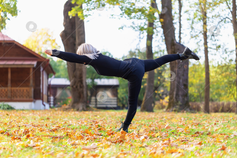 Скачать Блондинка, практикующая йогу, выполняющая упражнение Вирабхадрасана номер три, поза воина, тренирующаяся в черной спортивной одежде солнечным осенним днем в парке, стоящая на поляне с опавшими листьями фотосток Ozero