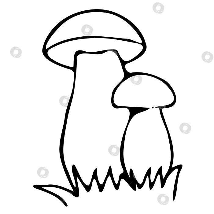 Скачать Черно-белый рисунок грибов на траве. Векторная иллюстрация. фотосток Ozero