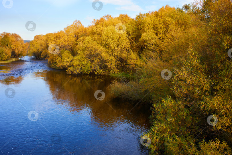 Скачать Живописный осенний пейзаж. Желтые деревья на берегу реки фотосток Ozero