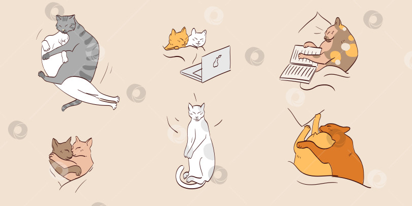Скачать Векторный набор милых кошек в мультяшном стиле в разных позах. фотосток Ozero