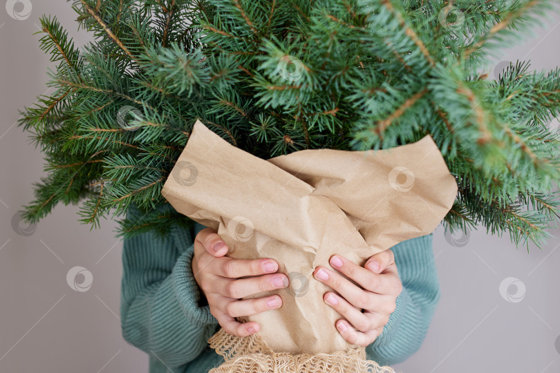 Скачать Зимний букет из еловых веток в крафтовой бумаге в руках. Подарок на Рождество фотосток Ozero