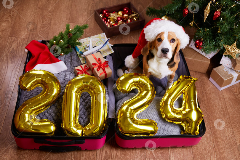 Скачать С наступающим Новым 2024 годом. Собака породы бигль в шляпе Санта-Клауса в чемодане фотосток Ozero