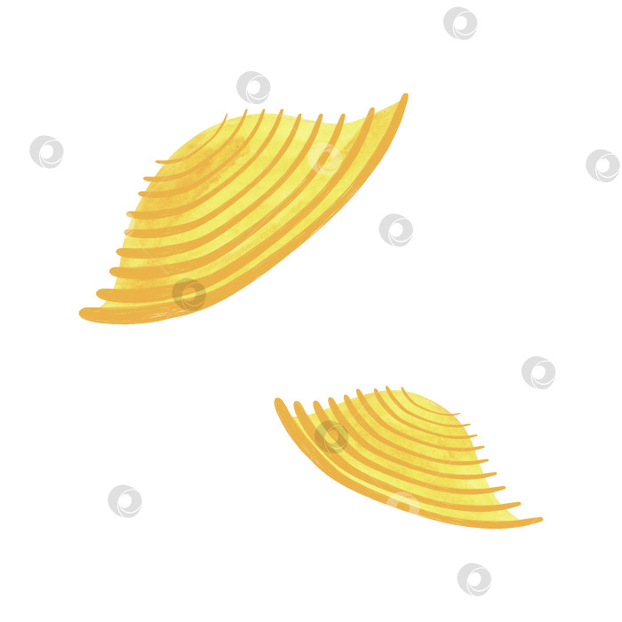 Скачать Ракушки или Кончильи, итальянская паста. Изолированная рисованная акварельная иллюстрация на белом фоне для меню, рецептов и ресторанов. Иллюстрация еды в стиле скетча фотосток Ozero