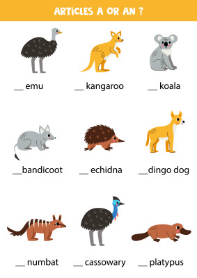 [object Object] undefined
