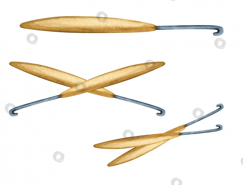 Скачать Крючок для вязания крючком. Акварельная иллюстрация, вязание спицами, ткачество, хобби. Изолированные спицы фотосток Ozero