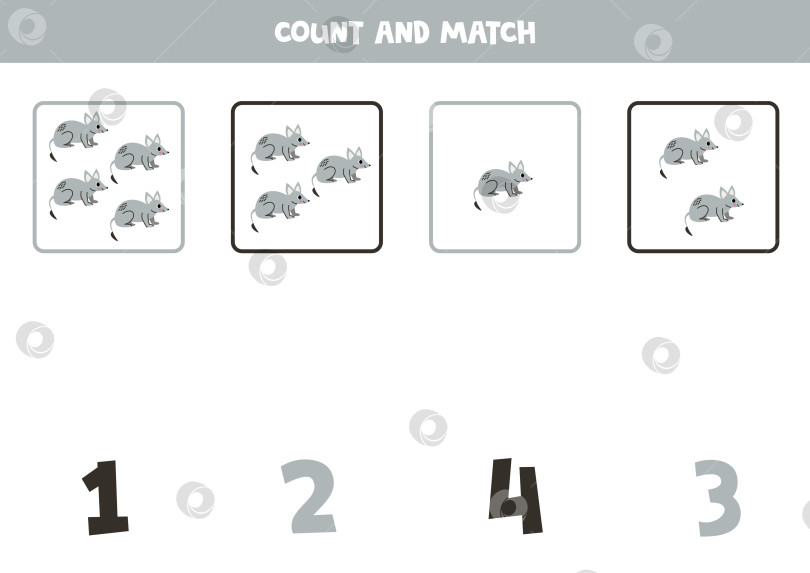 Скачать Подсчитайте всех серых бандикутов и сопоставьте с правильным числом. фотосток Ozero
