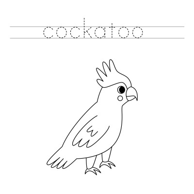 [object Object] undefined