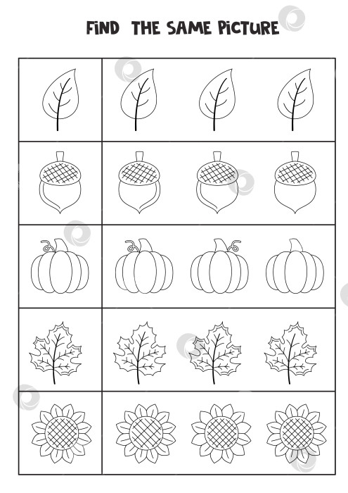 Скачать Найдите два одинаковых осенних элемента. Черно-белый рабочий лист. фотосток Ozero