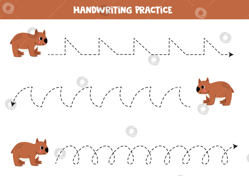 Скачать Прослеживание линий для детей. Симпатичный коричневый вомбат. Практика письма от руки. фотосток Ozero