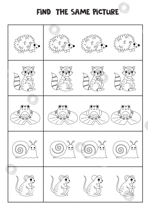 Скачать Найдите двух одинаковых лесных животных. Черно-белый рабочий лист. фотосток Ozero