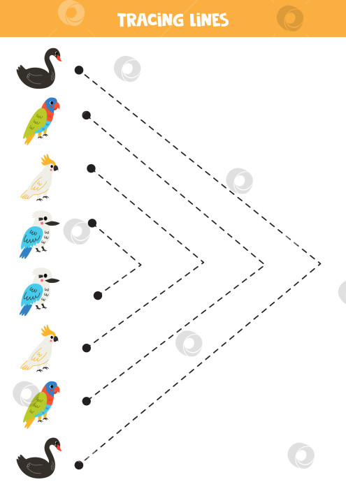 Скачать Прослеживание линий для детей. Австралийские птицы. Практика письма от руки. фотосток Ozero