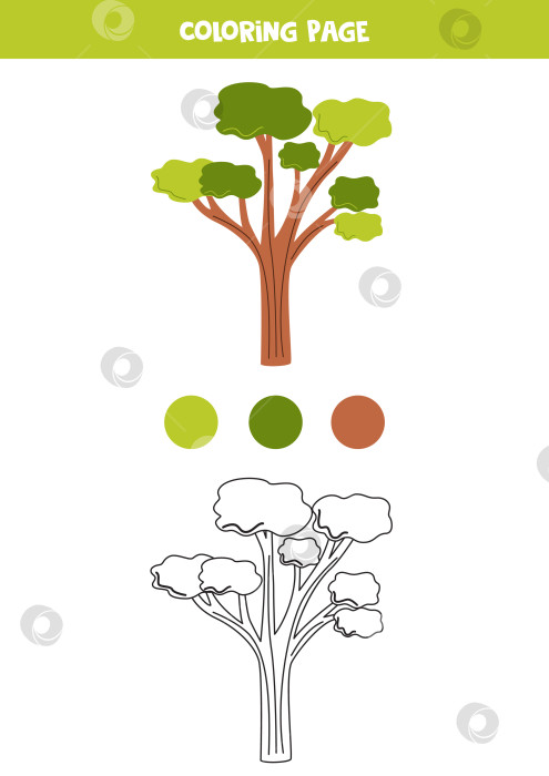 Скачать Раскрасьте милое мультяшное эвкалиптовое дерево. Рабочий лист для детей. фотосток Ozero