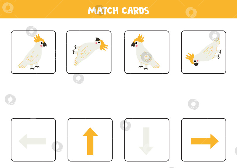 Скачать Влево, вправо, вверх или вниз. Пространственная ориентация с милым какаду. фотосток Ozero