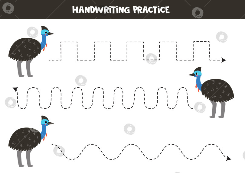 Скачать Прослеживание линий для детей. Симпатичная птичка-казуар. Практика письма от руки. фотосток Ozero