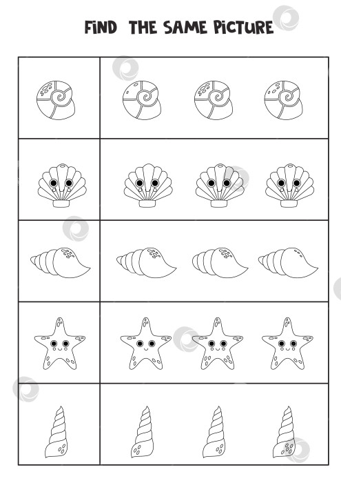 Скачать Найдите две одинаковые морские раковины. Черно-белый рабочий лист. фотосток Ozero