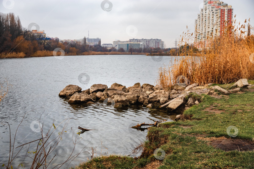 Скачать Естественный фон с сухой тростниковой травой. фотосток Ozero