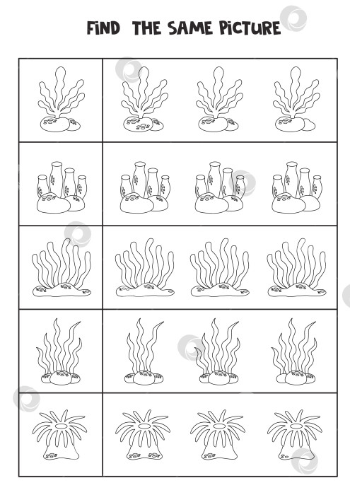 Скачать Найдите две одинаковые морские водоросли. Черно-белый рабочий лист. фотосток Ozero