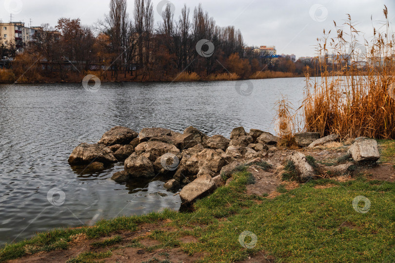 Скачать Естественный фон с сухой тростниковой травой. фотосток Ozero