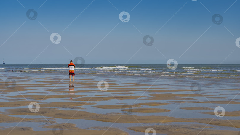 Скачать Морское дно обнажалось во время отлива. Лужицы воды на песке. фотосток Ozero