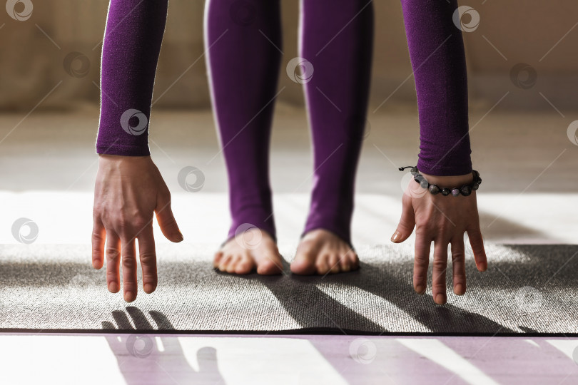 Скачать Женщина в фиолетовой спортивной одежде, практикующая йогу дома, выполняющая упражнение на наклон вперед, поза уттанасана фотосток Ozero