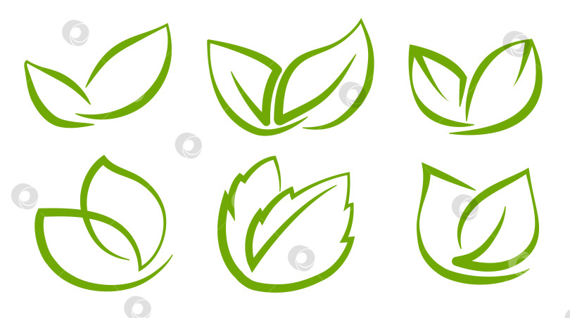 Скачать Набор абстрактных зеленых листьев на прозрачном фоне, для логотипов, дизайнов, для символики зеленой планеты фотосток Ozero