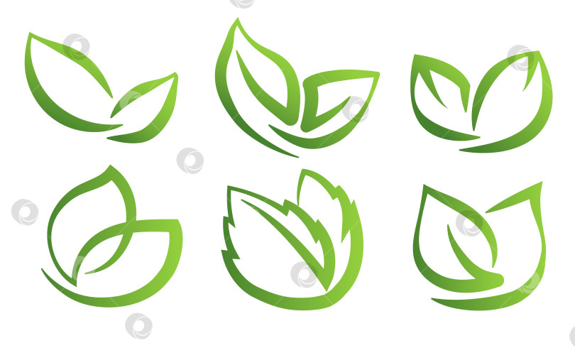 Скачать Набор абстрактных зеленых листьев на прозрачном фоне, для логотипов, дизайнов, для символики зеленой планеты фотосток Ozero