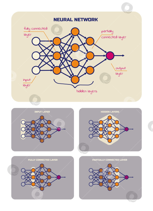 Скачать Вертикальный плакат со схемами нейронных сетей с подписями. Входные, скрытые и выходные слои, полностью связанные и частично подключенные слои. фотосток Ozero