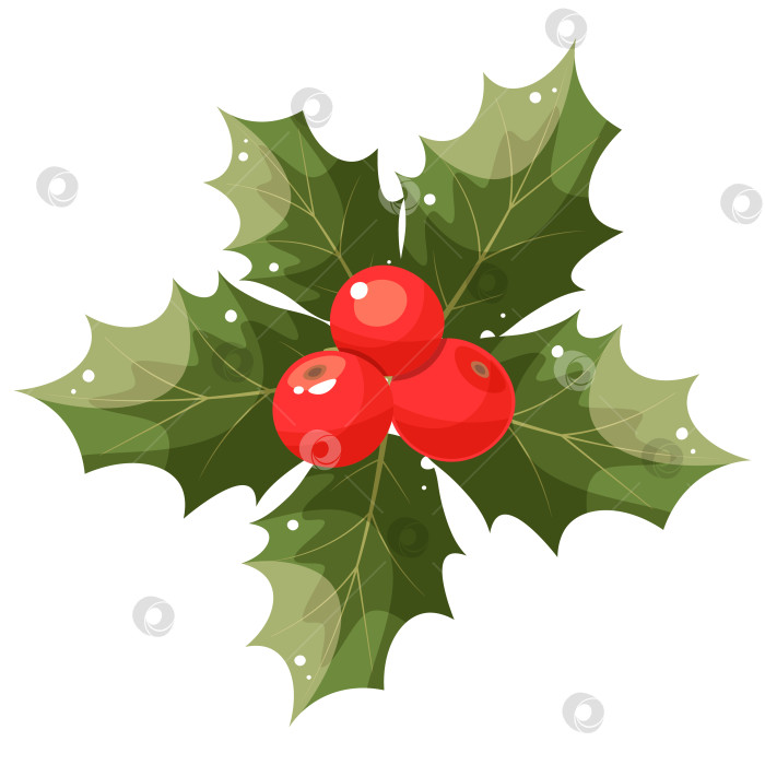 Скачать Плоская иконка рождественской ягоды Холли в мультяшном стиле. Зеленые листья и красные ягоды выделены на белом фоне. Элементы, подходящие для оформления рождественских праздников, новогодних приглашений, поздравительных открыток. фотосток Ozero