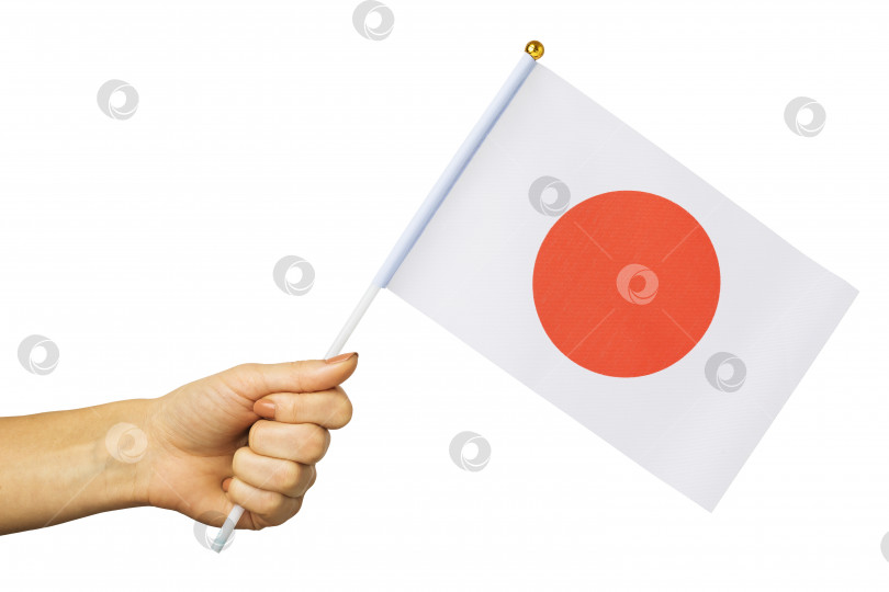 Женская рука, держащая флаг Японии, выделенный на белом фоне, шаблон для  дизайнеров - Ozero - российский фотосток