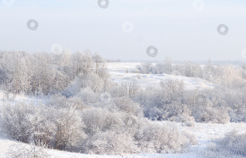 Скачать Русская природа зимой, красивый рождественский фон. После снегопада ветви деревьев покрываются снегом и сверкают на солнце, в сильный мороз и при низких температурах. Это красивый зимний баннер, новогодняя открытка, фотосток Ozero