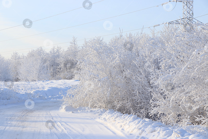 Скачать Русская природа зимой, красивый рождественский фон. После снегопада ветви деревьев покрываются снегом и сверкают на солнце, в сильный мороз и при низких температурах. Это красивый зимний баннер, новогодняя открытка, фотосток Ozero
