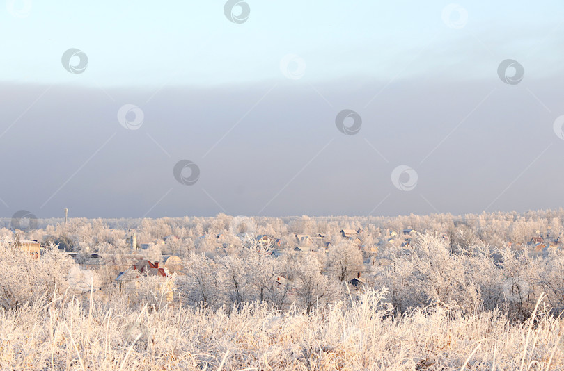 Скачать Русская природа зимой, красивый рождественский фон. Сельский пейзаж перед снежной бурей, в сильный мороз и при низких температурах. Это красивый зимний баннер, новогодняя открытка, выборочный фокус фотосток Ozero