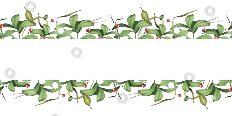 Скачать Клюква. Дикие ягоды. Акварельная иллюстрация лесных ягод с веточками. Горизонтальный баннер. Для оформления фона, текстиля фотосток Ozero