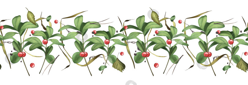 Скачать Клюква. Дикие ягоды. Бесшовный узор из лесных ягод с ветками и травой. Акварельная иллюстрация для текстильного дизайна, фона, упаковки фотосток Ozero