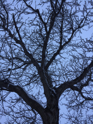 [object Object] undefined