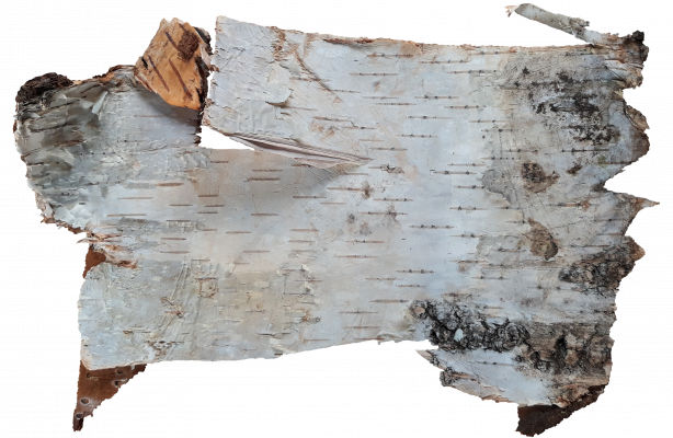 [object Object] undefined