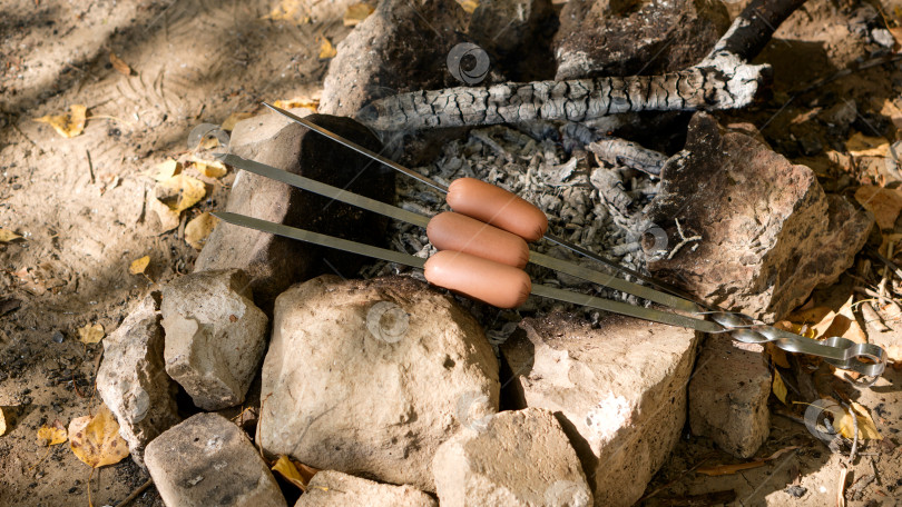 Скачать Процесс приготовления вкусных сосисок на углях на природе. фотосток Ozero