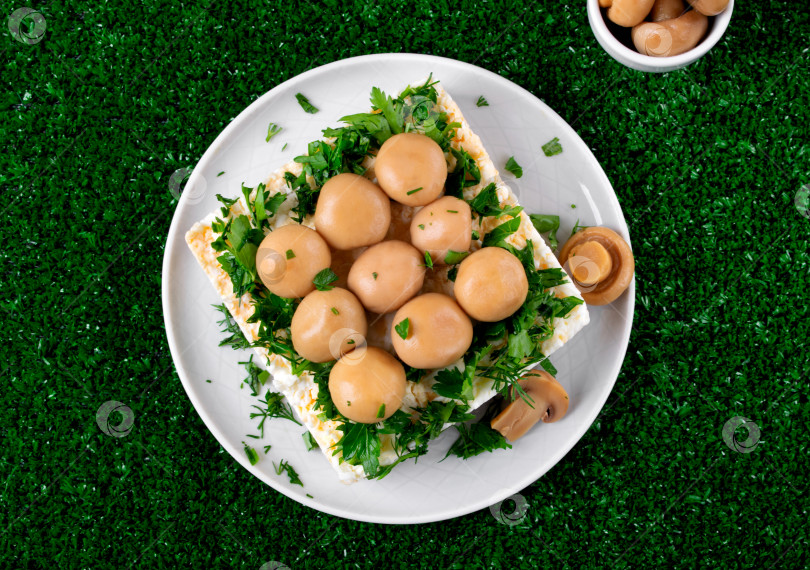 Скачать Слоеный салат с курицей, сыром, яйцами и жареными грибами, посыпанный маринованными шампиньонами фотосток Ozero