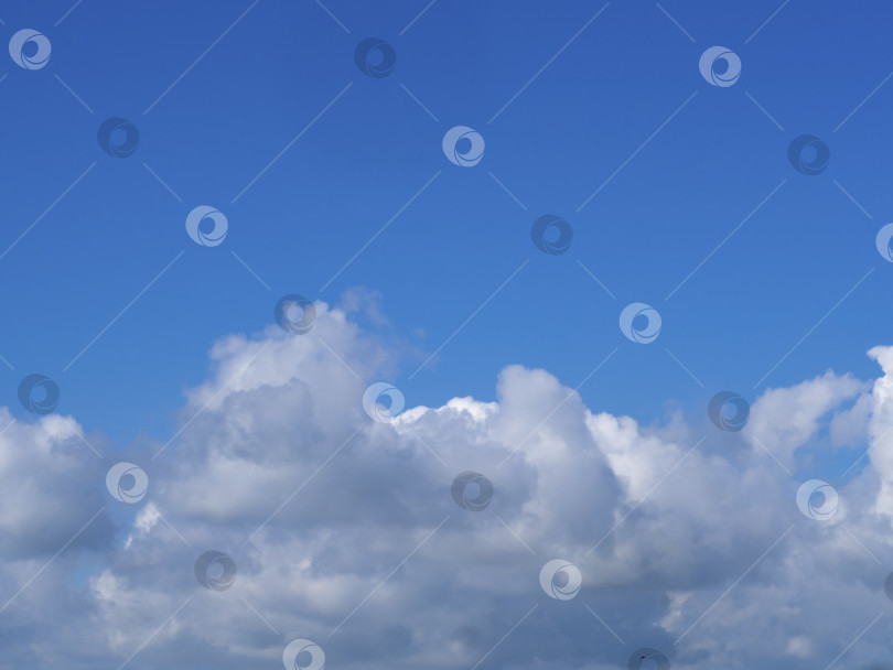 Скачать белые облака, освещенные солнцем на лазурном небе фотосток Ozero