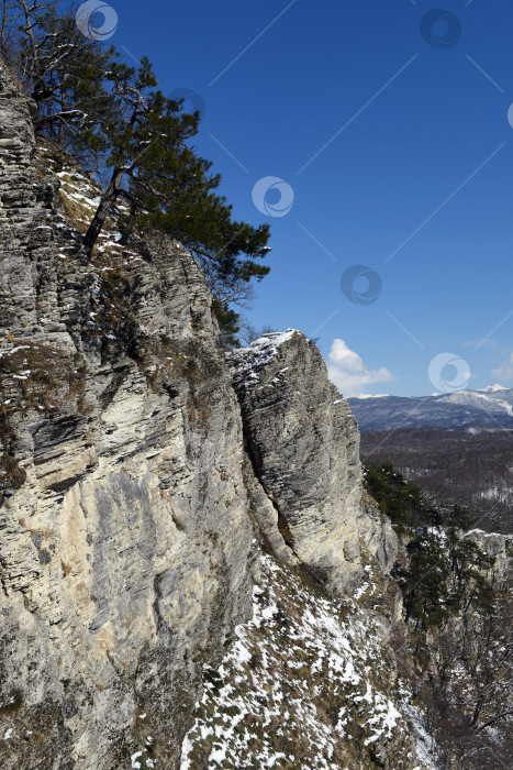 Скачать Зимний пейзаж фотосток Ozero