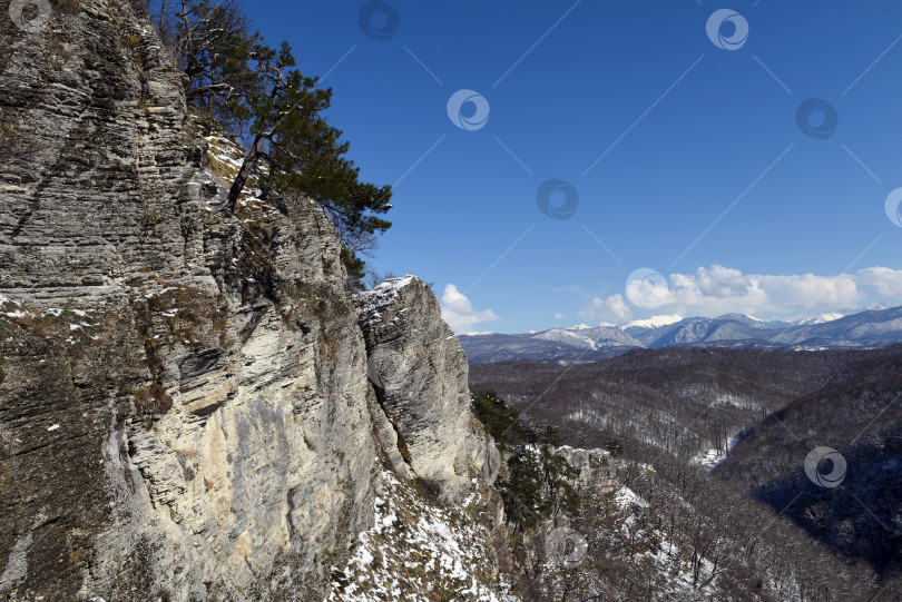 Скачать Зимний пейзаж фотосток Ozero