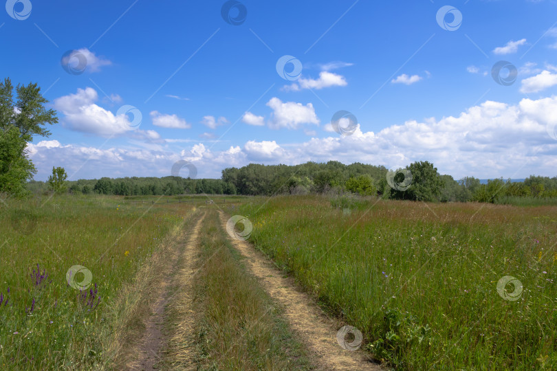 Скачать Тропинка через поле с густой травой. фотосток Ozero