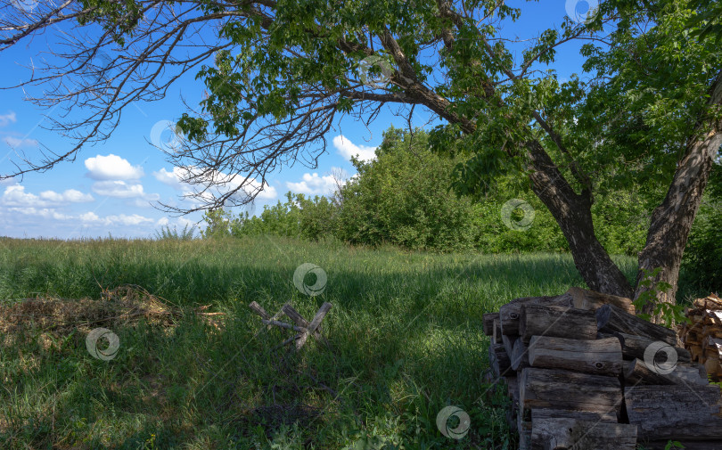 Скачать Дрова сушат в тени дерева. фотосток Ozero