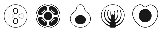 [object Object] undefined