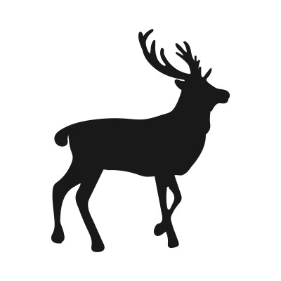 [object Object] undefined