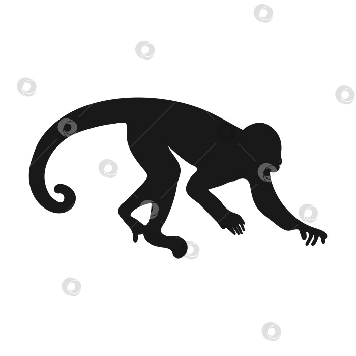 Скачать Хищнохвостая обезьяна. Изолированный значок на белом фоне фотосток Ozero